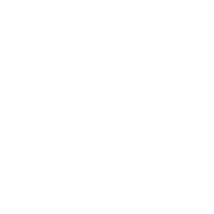 Netcore